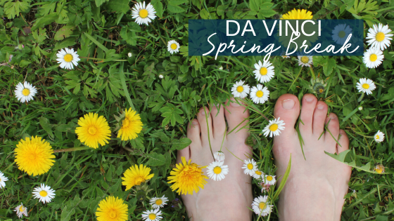 Spring Break Hazards and Da Vinci Tips!